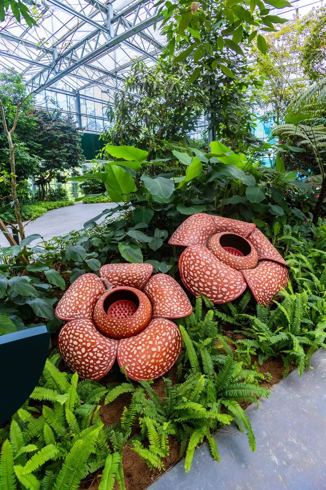 Eufloria Gardens & Sculpture Park – Rainforest Grove