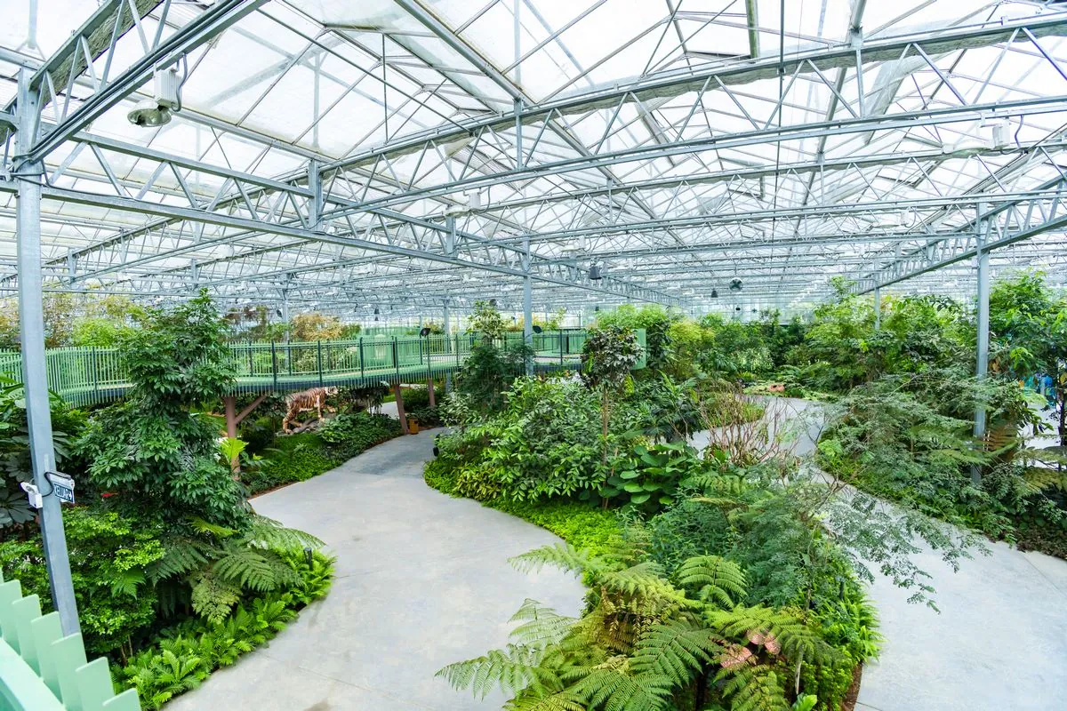 Eufloria Gardens & Sculpture Park – Rainforest Grove
