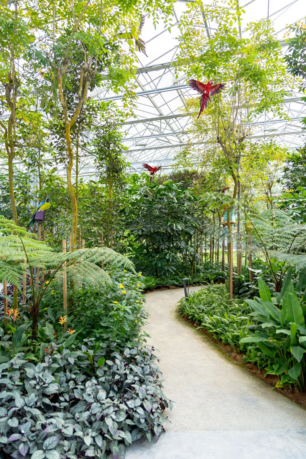 Eufloria Gardens & Sculpture Park – Rainforest Grove