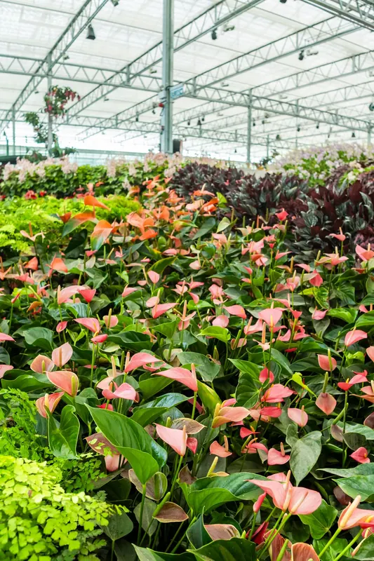 Eufloria Gardens & Sculpture Park – Garden of the Seasons