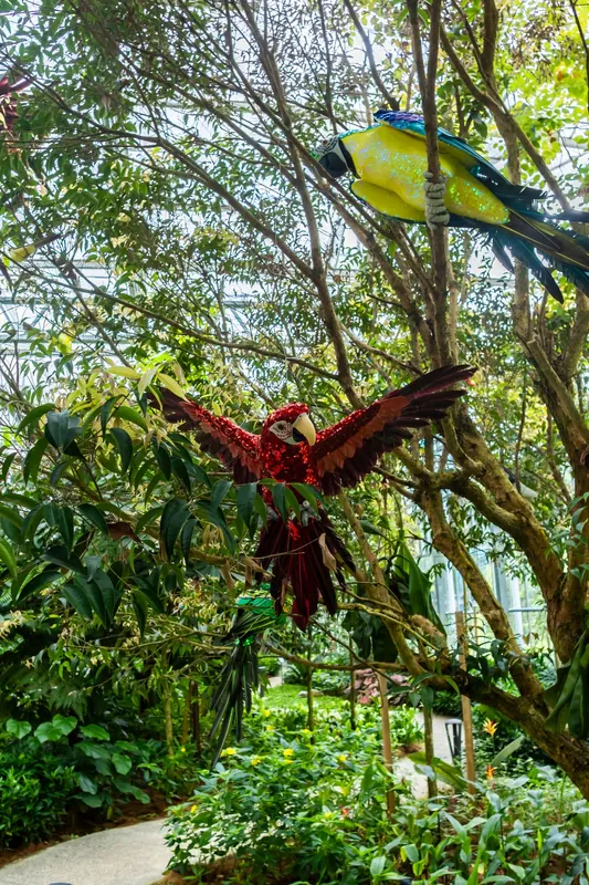 Eufloria Gardens & Sculpture Park – Rainforest Grove