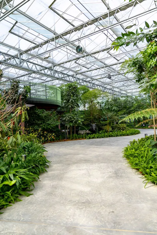 Eufloria Gardens & Sculpture Park – Rainforest Grove