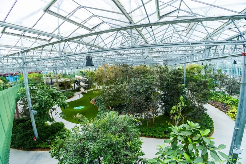 Eufloria Gardens & Sculpture Park – Rainforest Grove