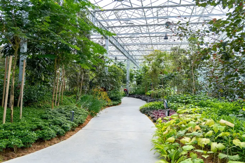 Eufloria Gardens & Sculpture Park – Rainforest Grove
