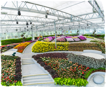 Garden of the Seasons