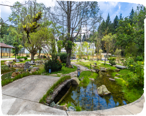 Harmony Garden