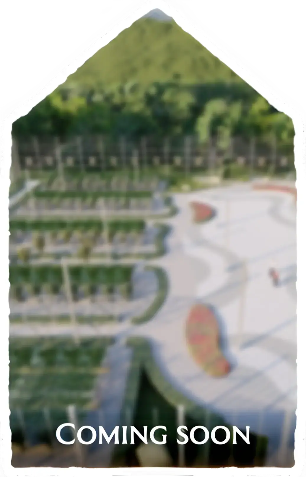 Enchanted Orchard